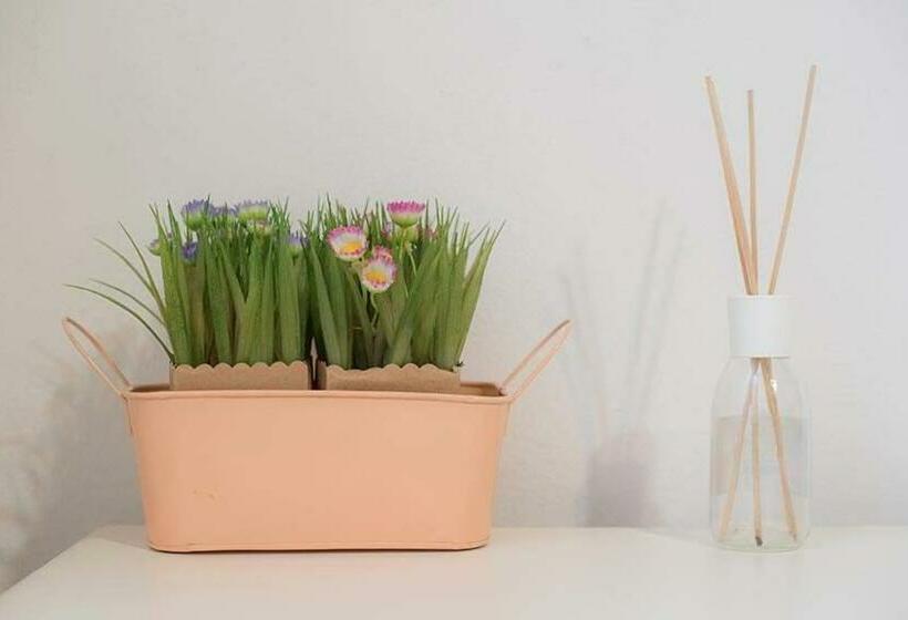 Пансион Camere Nicolina 3