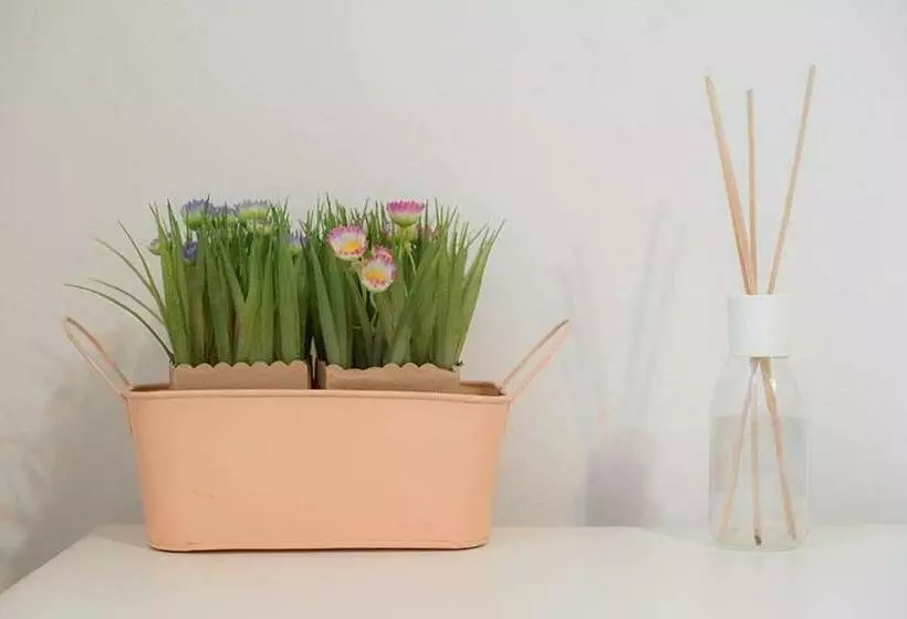 پانسیون Camere Nicolina 3