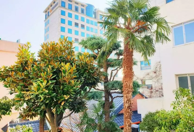 ペンション Picasso Guesthouse