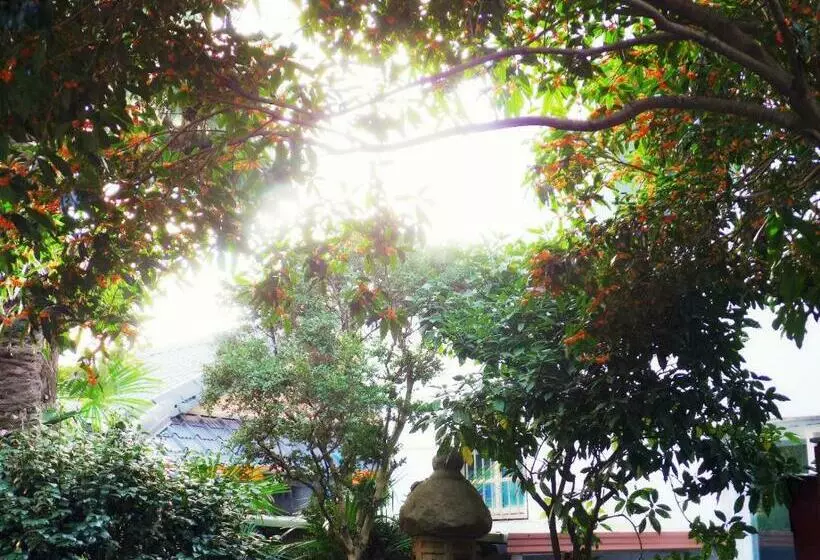 ペンション Picasso Guesthouse