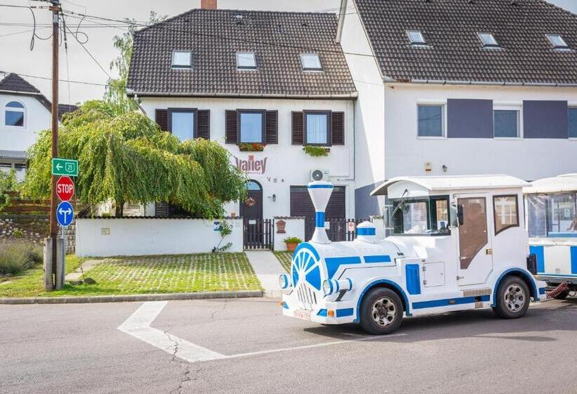 펜션 Valley Vendégház