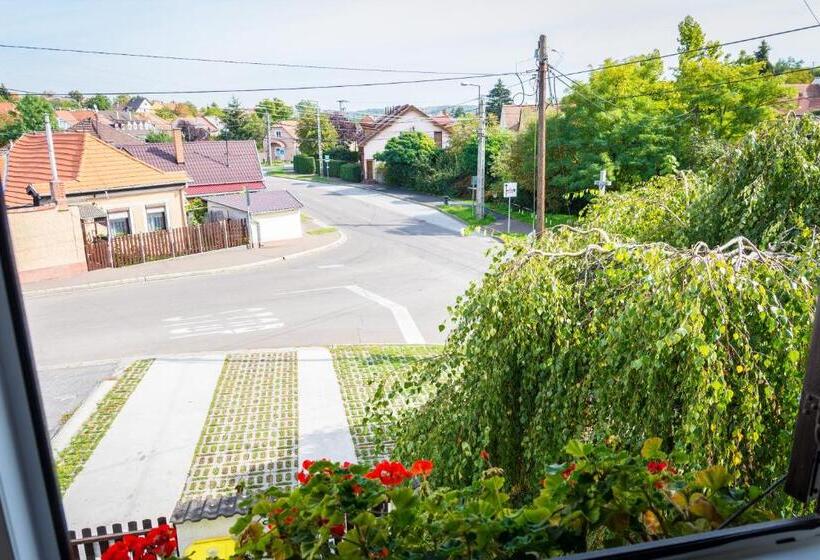 펜션 Valley Vendégház