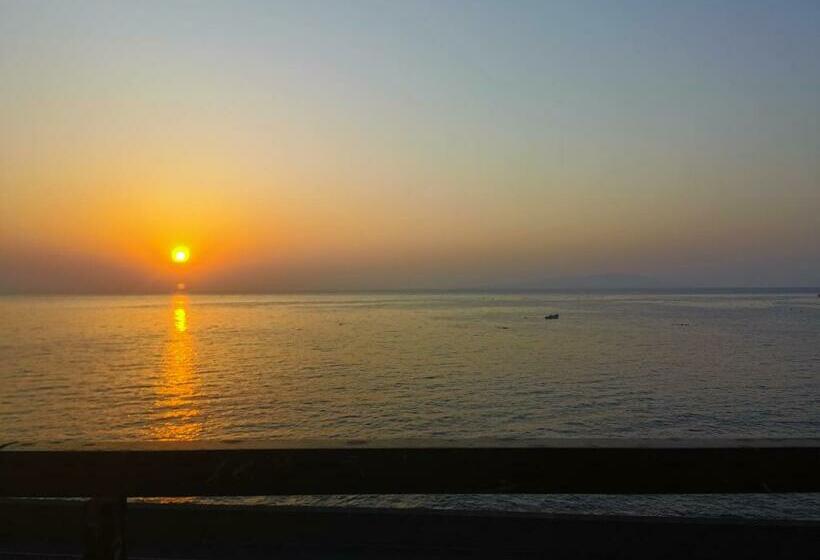 ריוקאן Izu Hokkawa Seaside Guesthouse 伊豆北川の家