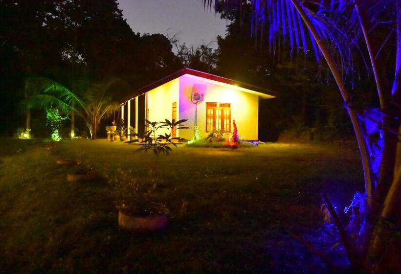 민박 Little Ele Safari Lodge