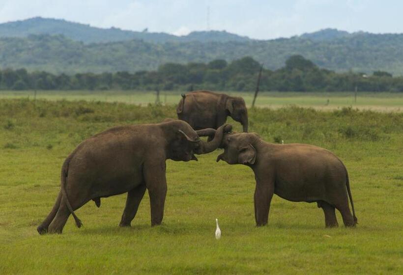هتل Surfpoint Sri Lanka Kite Village
