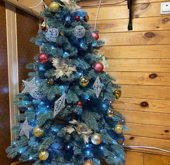 بنسيون Girske Povitria Cottage