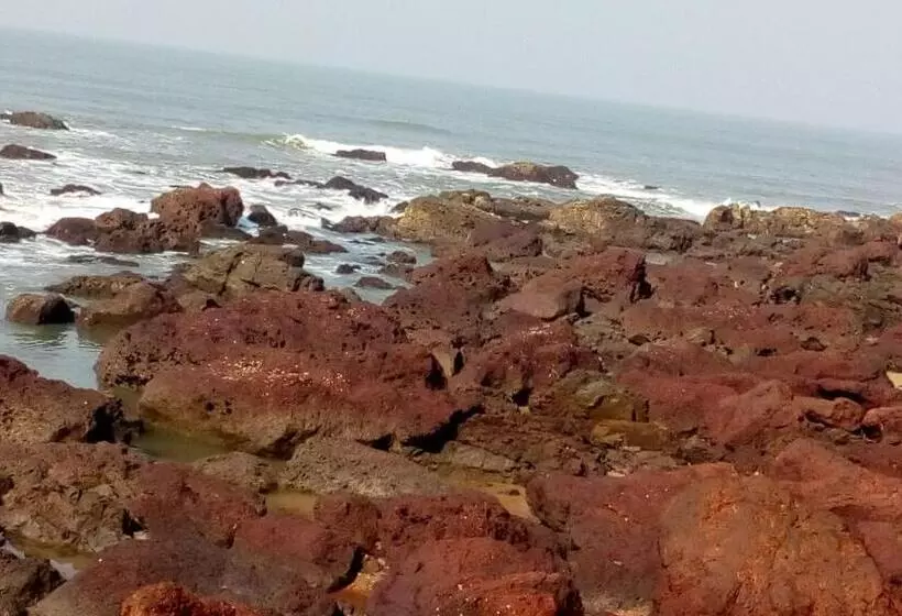 ペンション Om Ganesh Guest House Cliffside