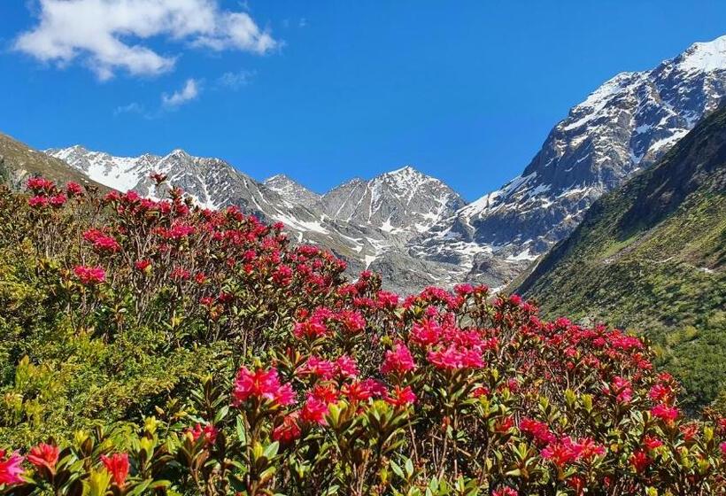 هاستل Gasthof Pension Santeler