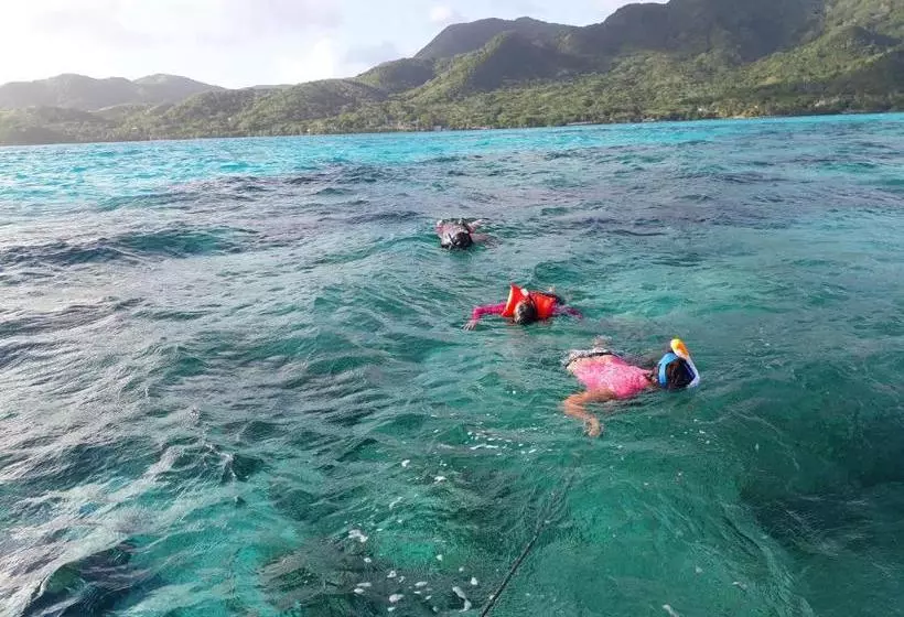 ユースホステル Posada Ashanty