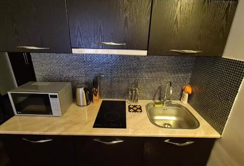 New Gudauri Apartment