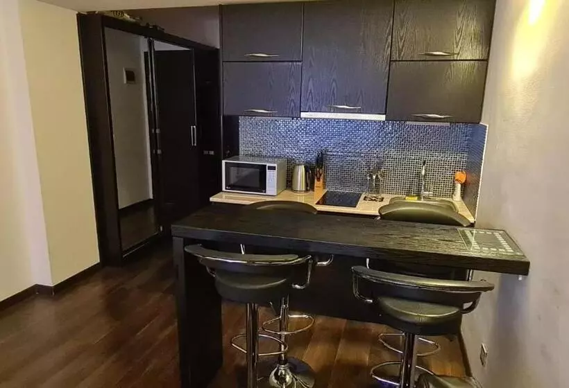 New Gudauri Apartment