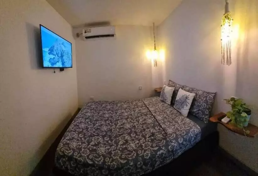 ペンション Casa Hostel San Andres