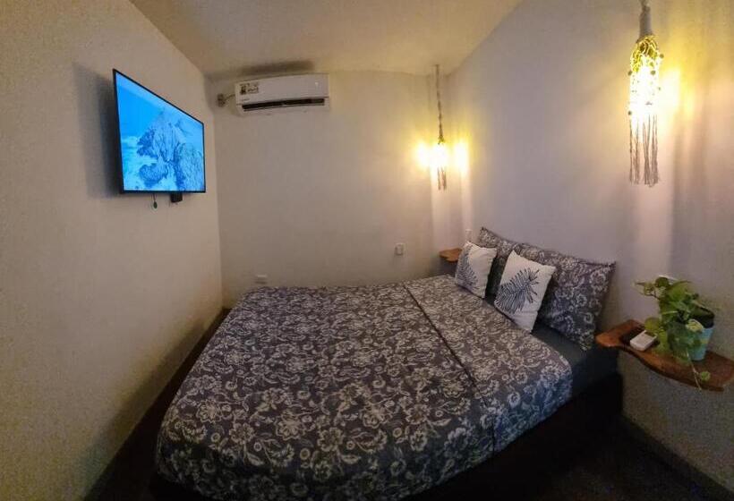 پانسیون Casa Hostel San Andres