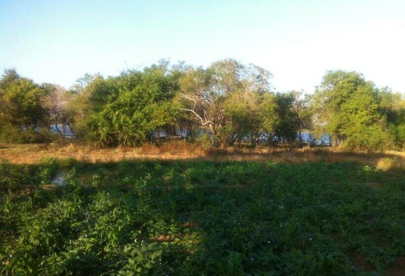 بنسيون Goddess Garden Sigiriya