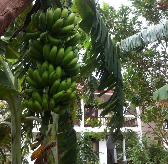 بنسيون Goddess Garden Sigiriya
