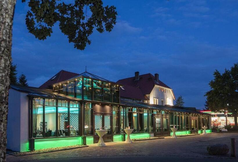 פנסיון Gästehaus Südheide