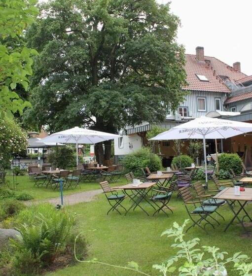 פנסיון Gästehaus Südheide