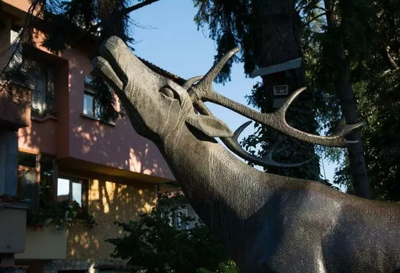 Majatalo Guest House Elena