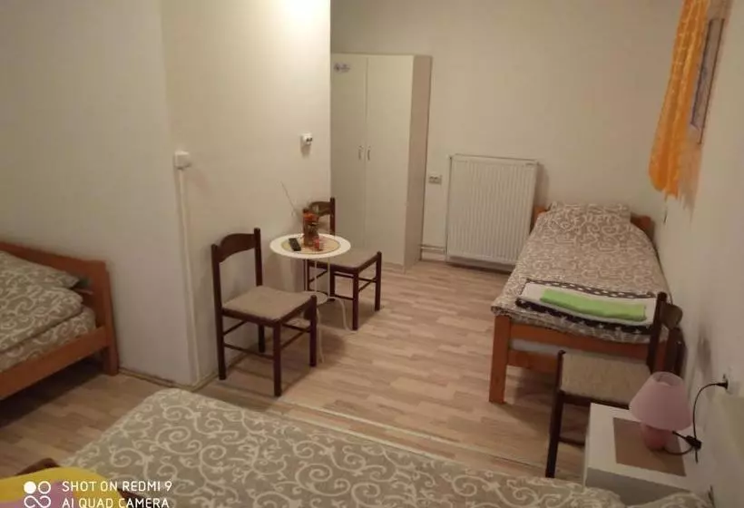 پانسیون Guest House Vila Banjica