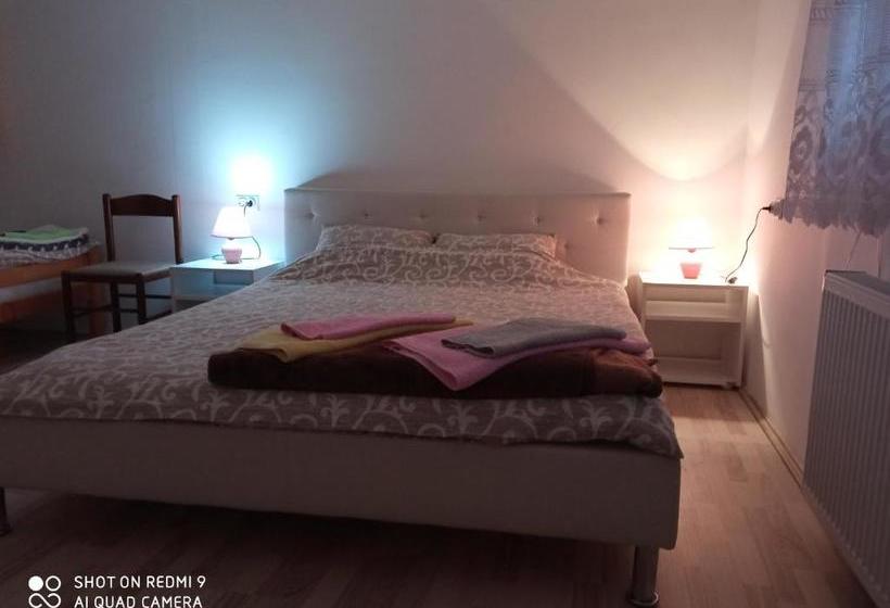 پانسیون Guest House Vila Banjica