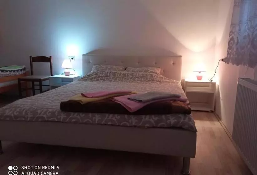 پانسیون Guest House Vila Banjica