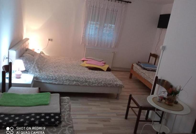 پانسیون Guest House Vila Banjica