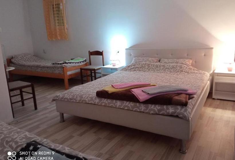 پانسیون Guest House Vila Banjica
