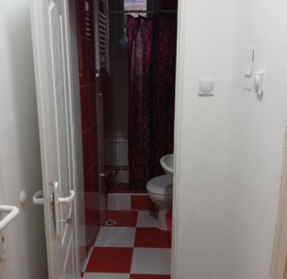 پانسیون Guest House Vila Banjica