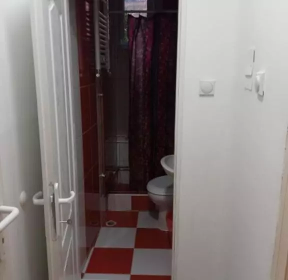 پانسیون Guest House Vila Banjica