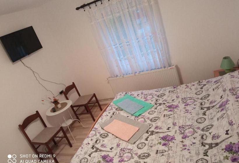 پانسیون Guest House Vila Banjica