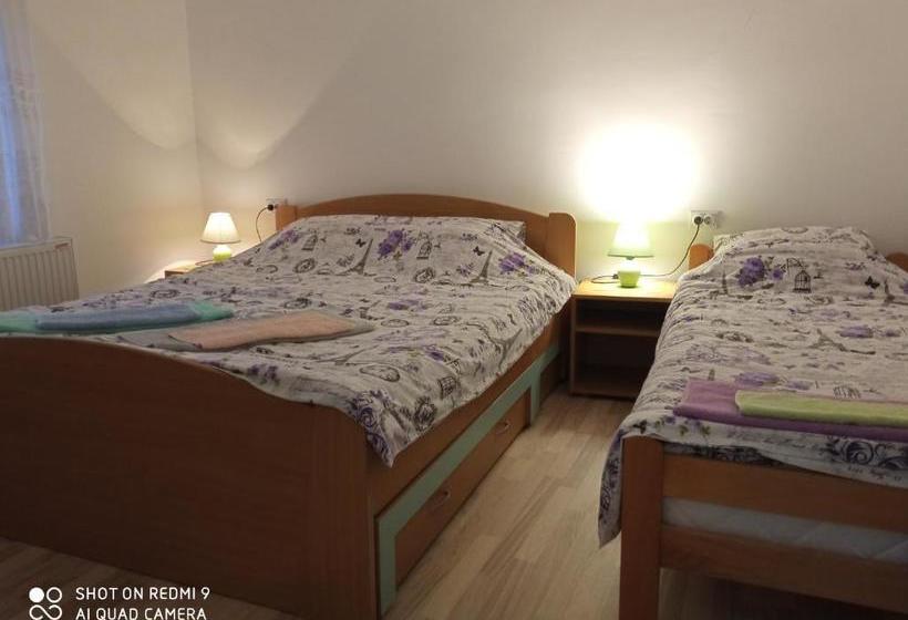 پانسیون Guest House Vila Banjica