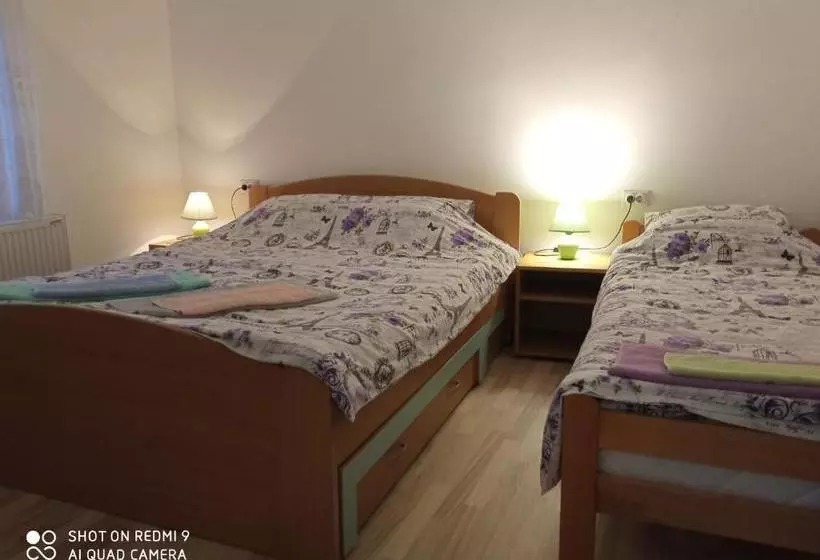 پانسیون Guest House Vila Banjica