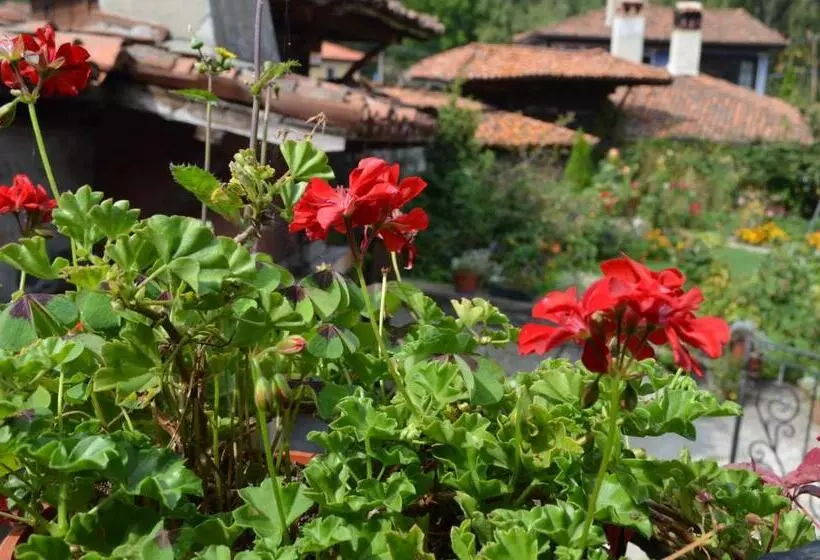 پانسیون Guest House Zlatniyat Telets