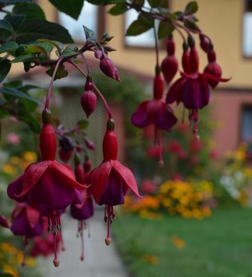 膳宿费 Guest House Zlatniyat Telets