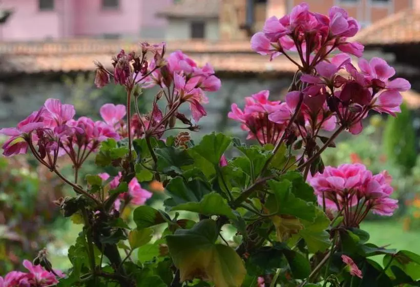 پانسیون Guest House Zlatniyat Telets