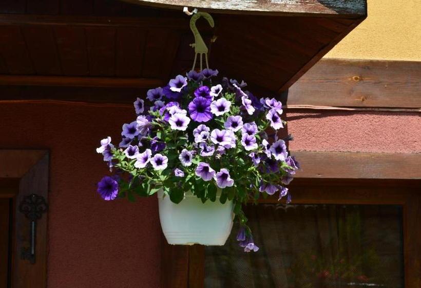 膳宿费 Guest House Zlatniyat Telets