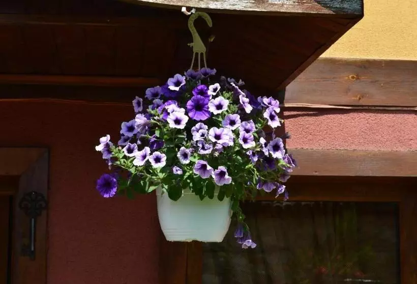 پانسیون Guest House Zlatniyat Telets