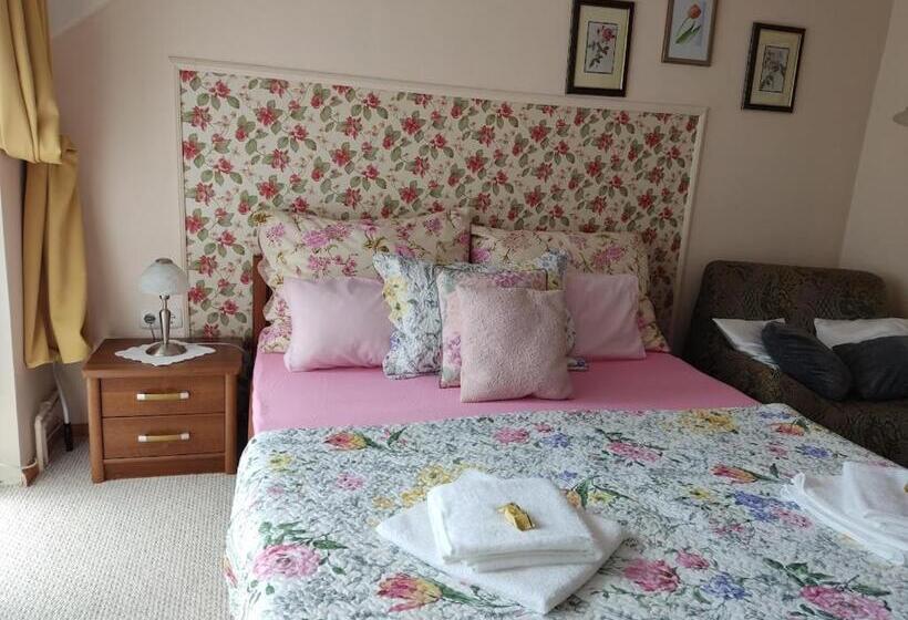 Пансион Jánosi Vendégház