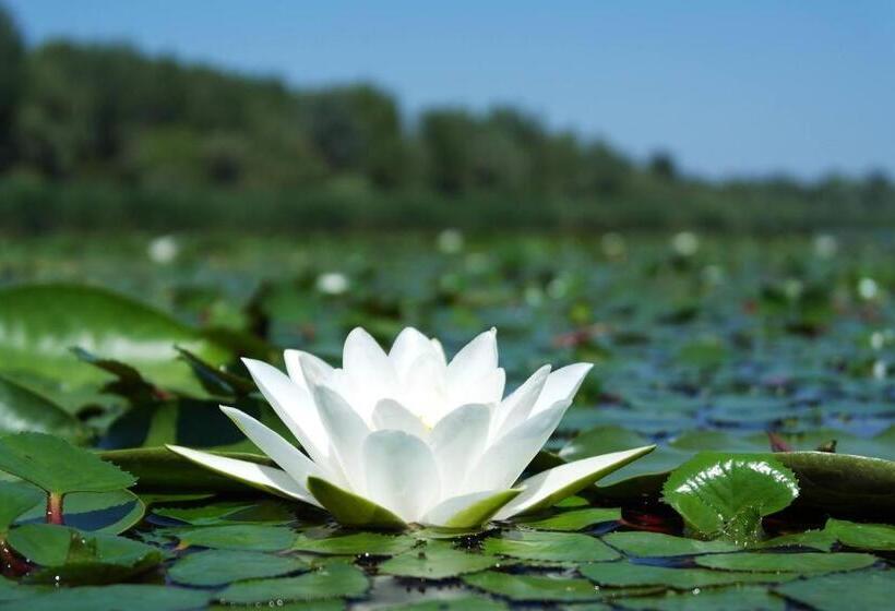 Пансион Jánosi Vendégház