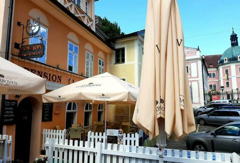 Пансион Penzion Restaurant U Zámku