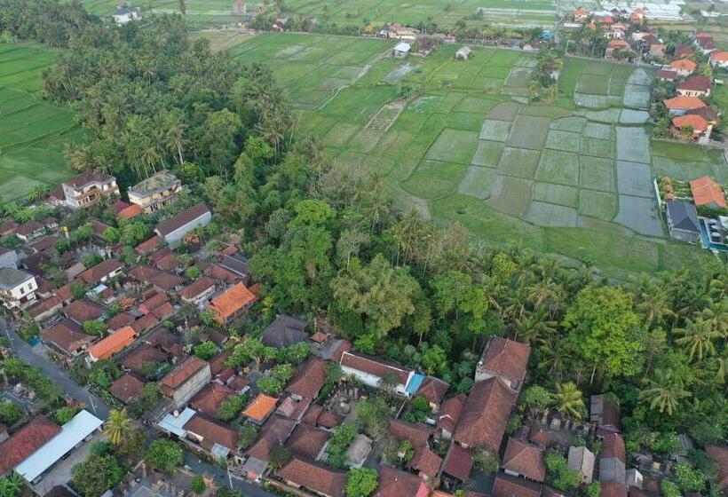 膳宿费 Sila Urip Guest House