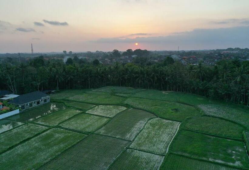 膳宿费 Sila Urip Guest House