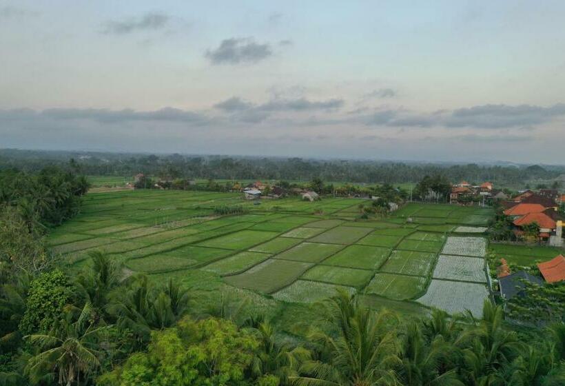 膳宿费 Sila Urip Guest House