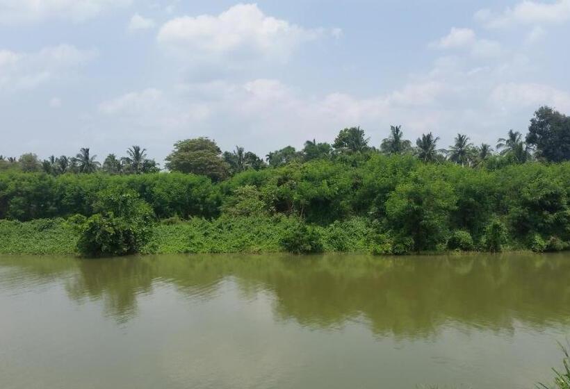 پانسیون Sunhill Lake Tourist Rest