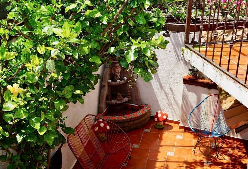 Ostello Posada Ali Tepoztlan By Rotamundos