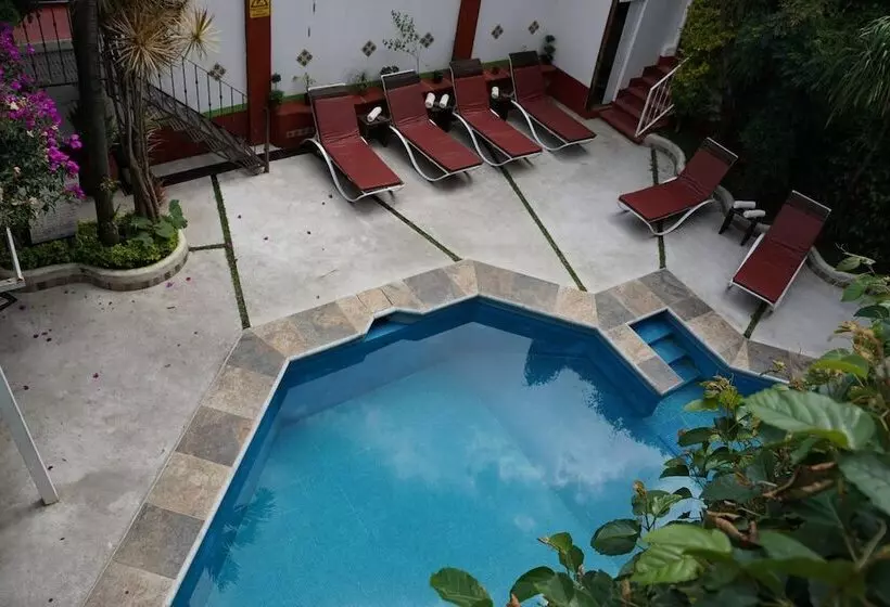 ユースホステル Posada Ali Tepoztlan By Rotamundos
