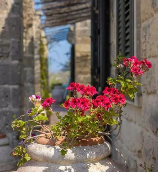 Aamiaismajoitus (B&B) Casa Ulmi Con Piscina