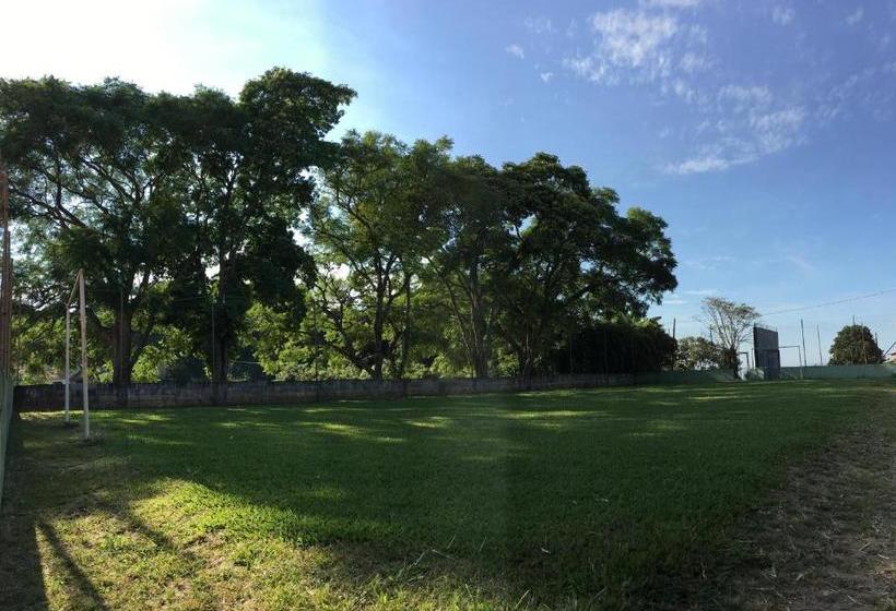 Big Valley Hotel Fazenda