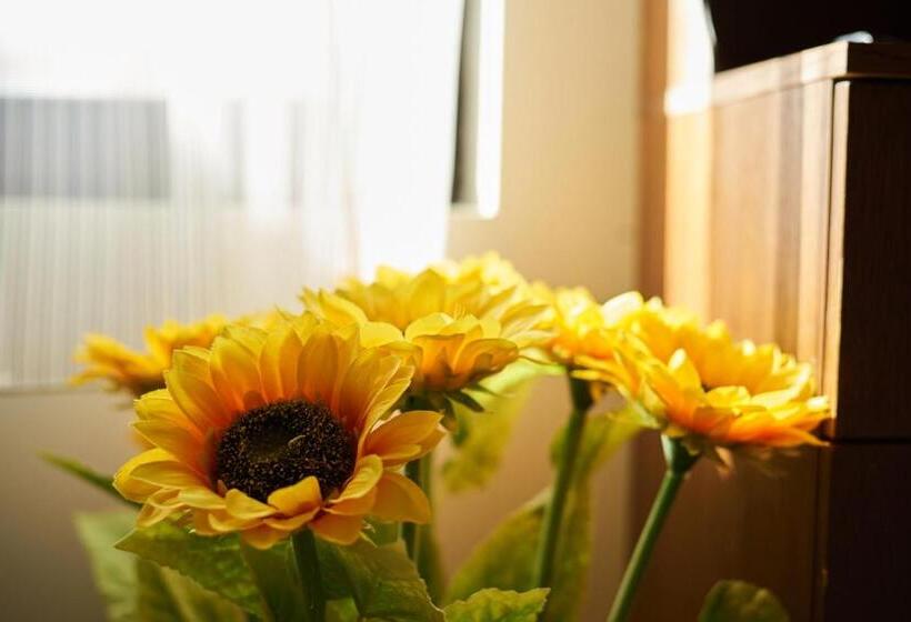 Pension Guest House Mira