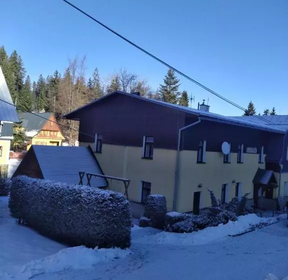 پانسیون Penzion Borovice
